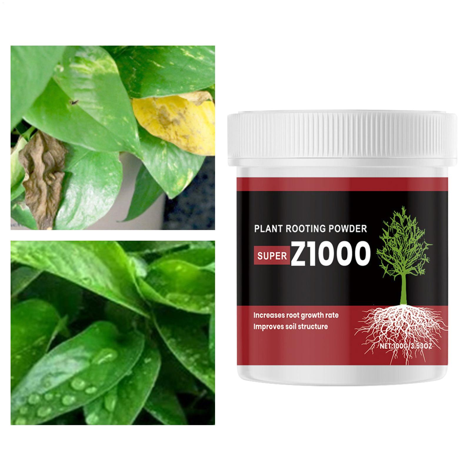 Bitki Çelikleri İçin Köklenme  - Root Stimulator Liquid incelemesi ve fiyatı