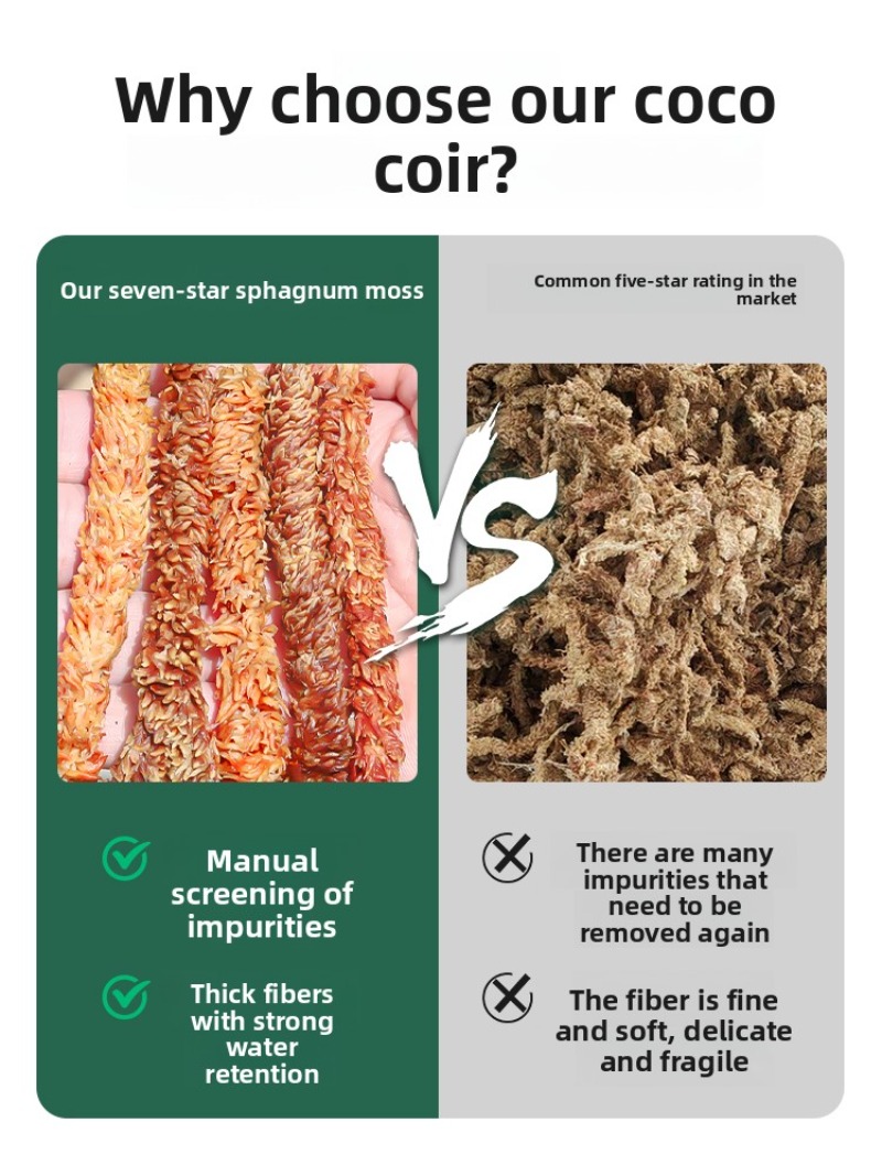 Şili Sphagnum Yosunu 100g 200g - Sphagnum Moss Dry incelemesi ve fiyatı