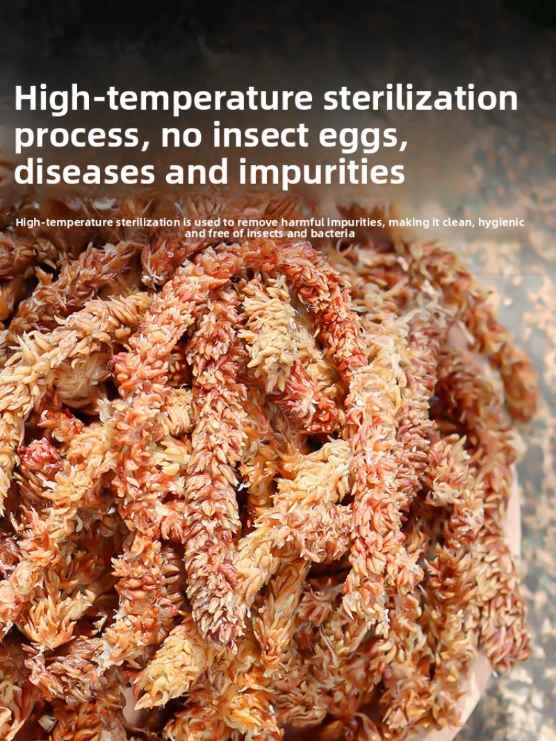 Şili Sphagnum Yosunu 100g 200g - Sphagnum Moss Dry incelemesi ve fiyatı