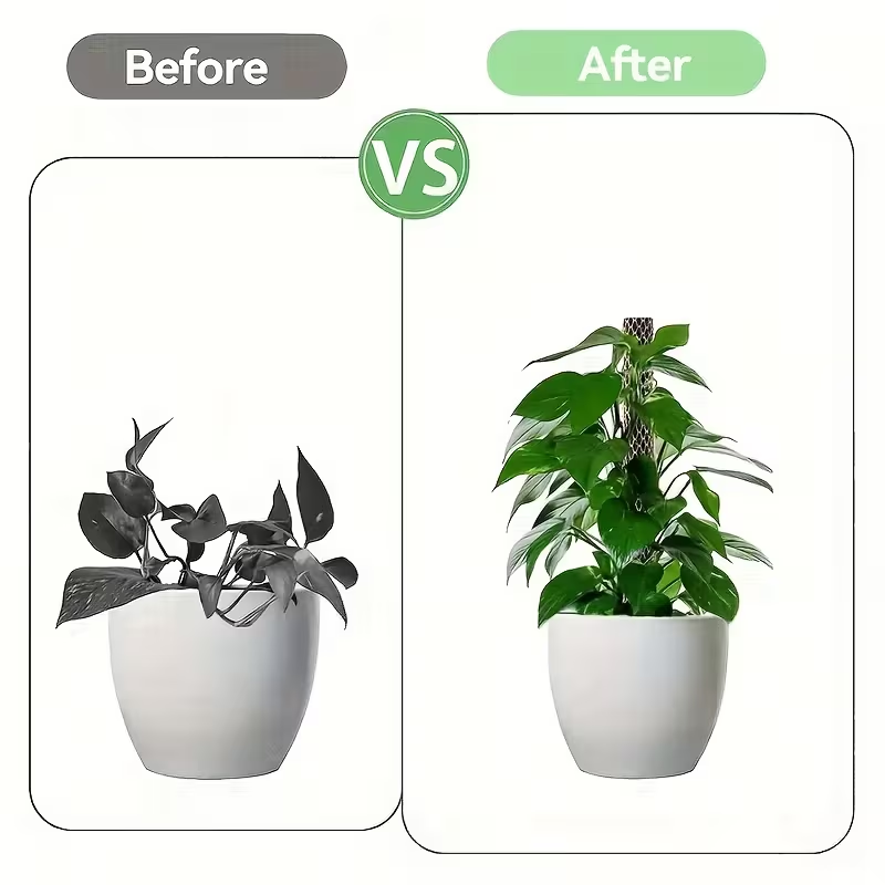 1 set istiflenebilir plastik y - Sphagnum Moss Dry incelemesi ve fiyatı