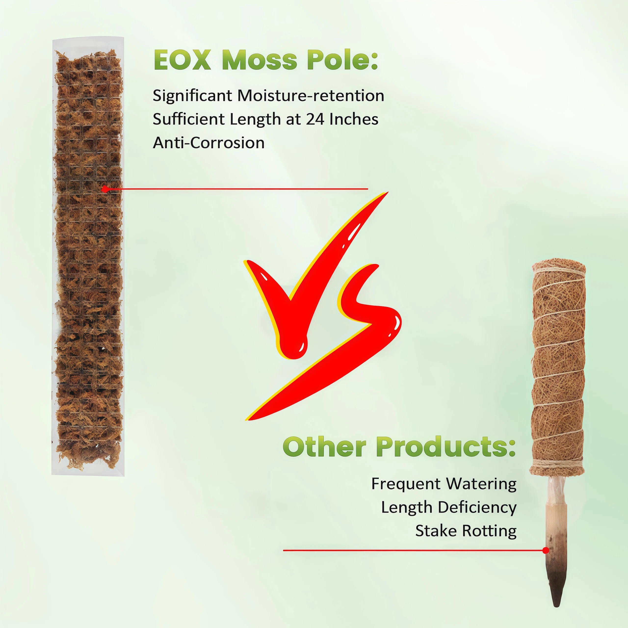 Bitki Büyümesi İçin Kullanılan - Sphagnum Moss Dry incelemesi ve fiyatı